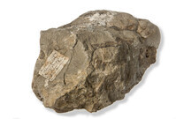 F 02273
<br/>
<br/>
<em></em>